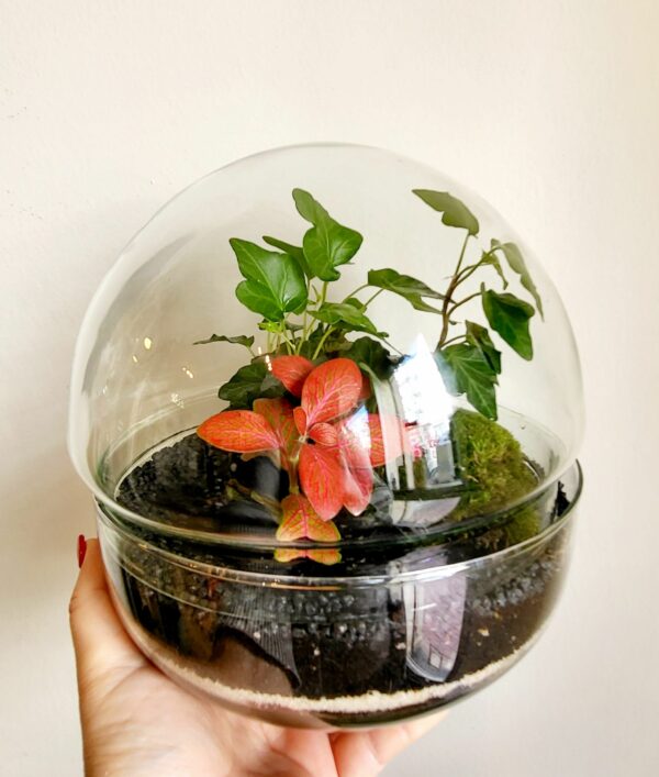 Taller 1 Mini jardines - Imagen 3