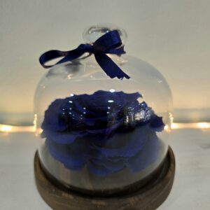 MI ROSA ETERNA AZUL