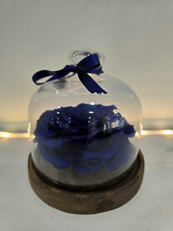 MI ROSA ETERNA AZUL