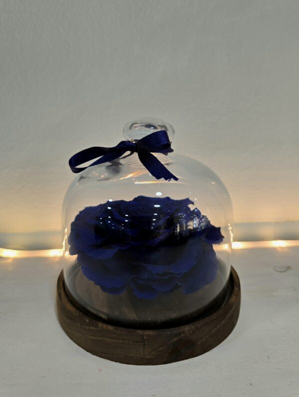MI ROSA ETERNA AZUL - Imagen 3