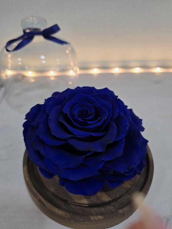 MI ROSA ETERNA AZUL - Imagen 2