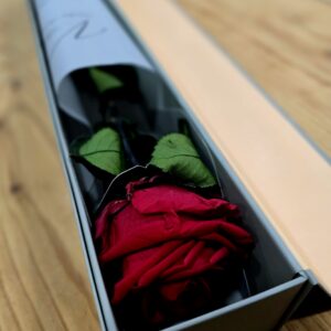 Rosa especial numerada